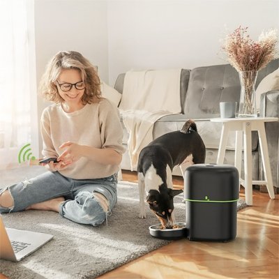 Distributeur Automatique de Croquettes : Avantages et Inconvénients pour Votre Chien