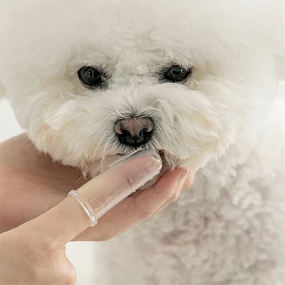 Brosse a dent Chien | DentaClean