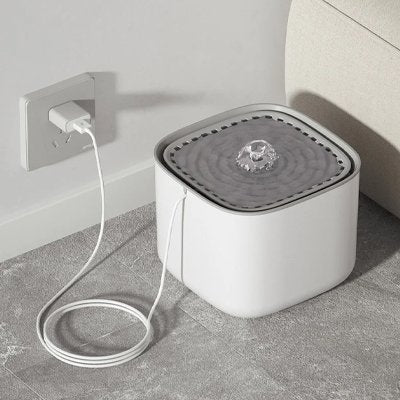 Fontaine a eau Chien