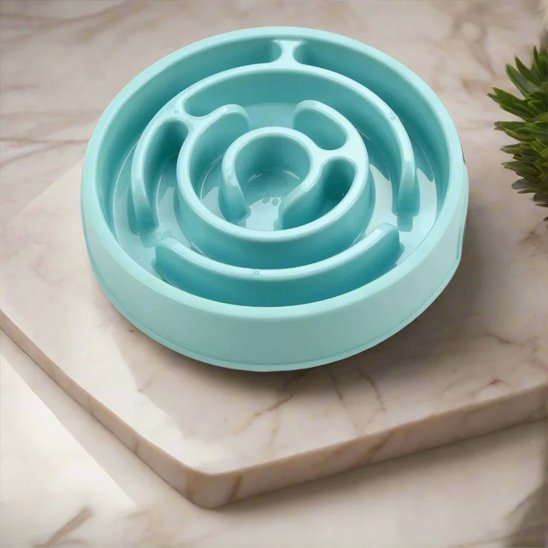 Gamelle anti glouton chien​