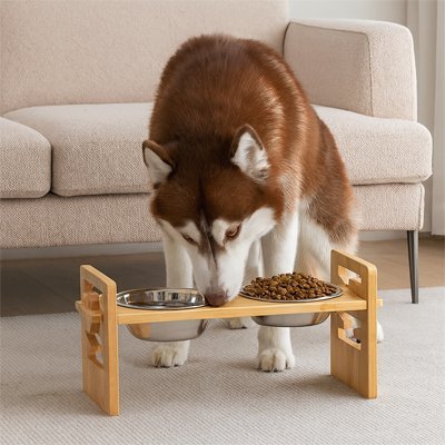 Gamelle chien surélevée | Ergonomique