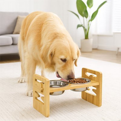Gamelle chien surélevée | Ergonomique