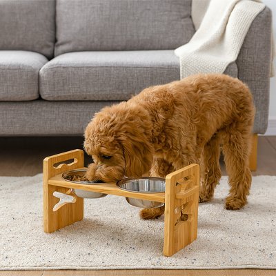 Gamelle chien surélevée | Ergonomique