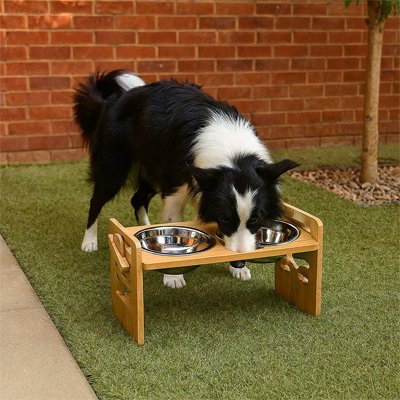 Gamelle chien surélevée | Ergonomique