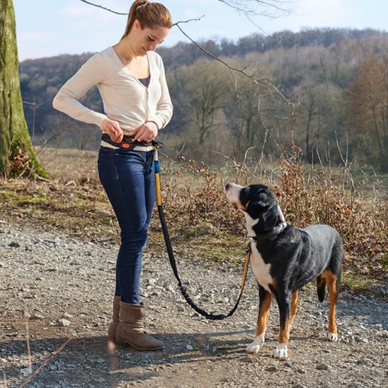 Laisse chien main libre | Promenade Liberté
