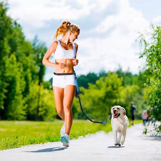 Laisse chien main libre | Promenade Liberté