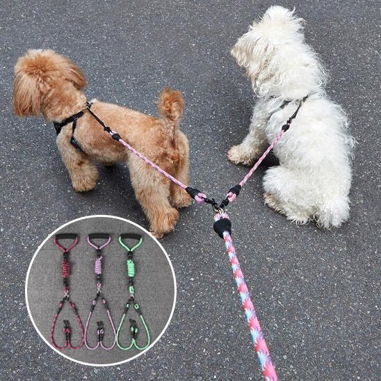 Laisse double pour chien | ProControl