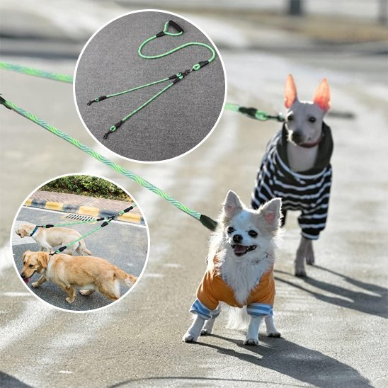 Laisse double pour chien | ProControl