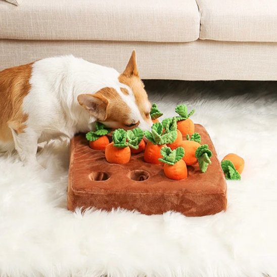 Jouet pour chien | Ultra-résistant Intelligent