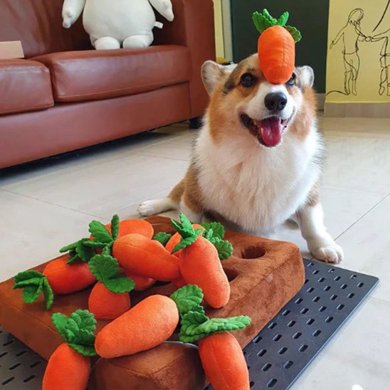 Jouet pour chien | Ultra-résistant Intelligent