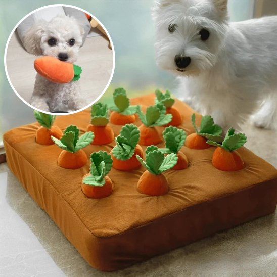 Jouet pour chien | Ultra-résistant Intelligent