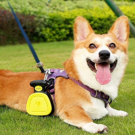 Ramasse Crottes pour Chien | PratikHygiène