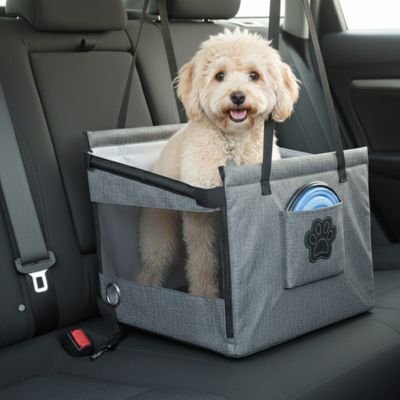 Siége auto pour chien | Securitravel