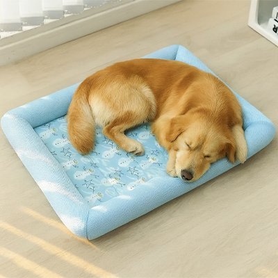 Tapis pour Chien rafraichissant