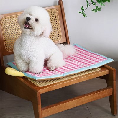 Tapis rafraîchissant Chien