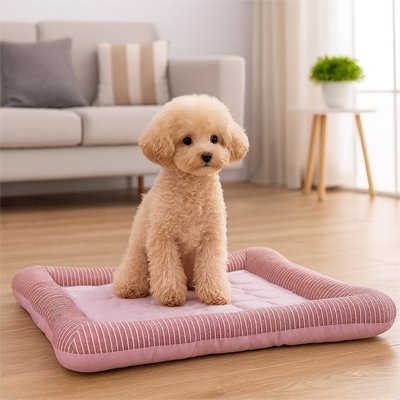 Tapis rafraichissant Chien | PawComfort